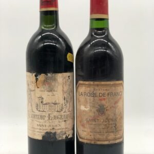 Mixed lot of 2 x 75cl  St.Julien/Bordeaux Icon reds 1979